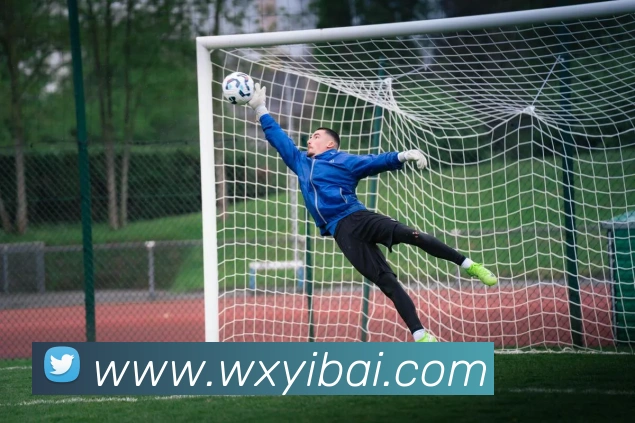 滚球官网app平台生态图