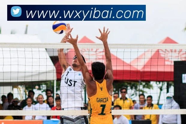 滚球官网app全站App